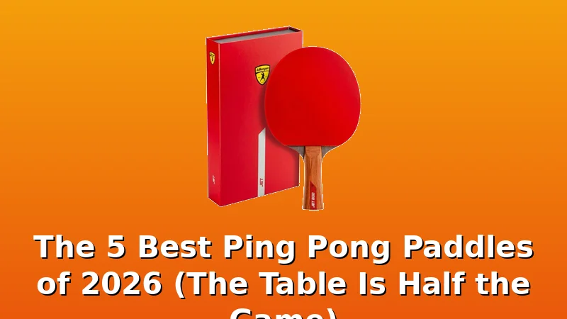 The 5 Best Ping Pong Paddles of 2026 (The Table Is Half the Game) - PingPongTableGuide review with measurements and honest opinion