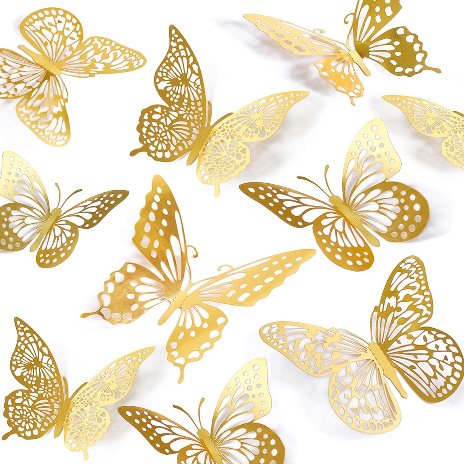 Butterfly 401