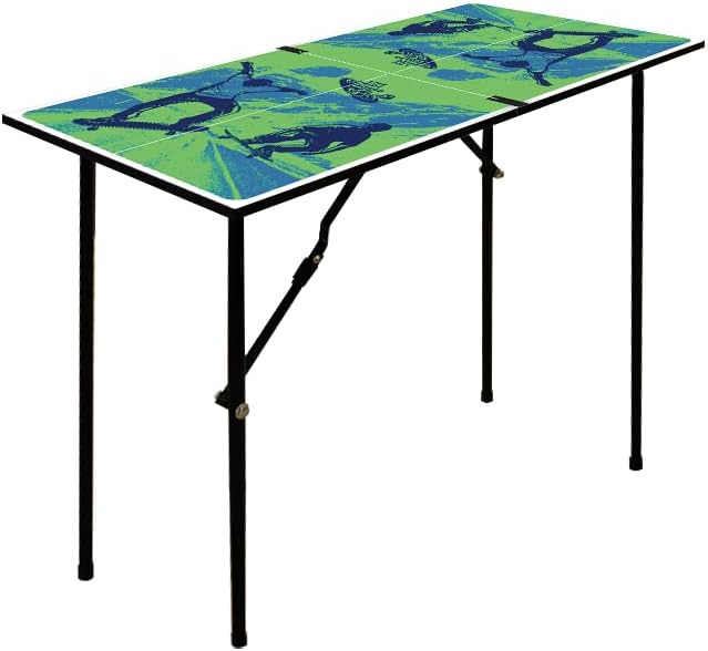 MOOTHLION Small Ping Pong Table Foldable with Net (B0BXKFNNT3)